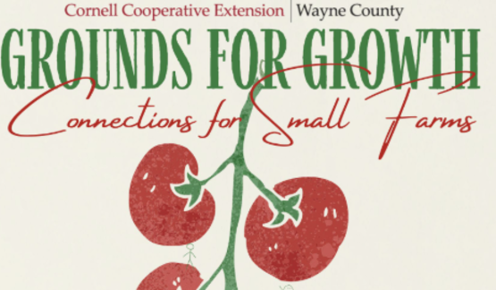 Grounds for Growth Logo 