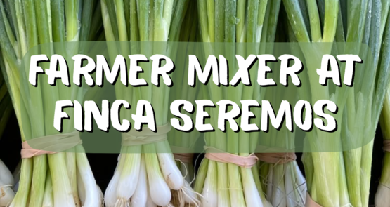 BANNER Finca Seremos FM 
