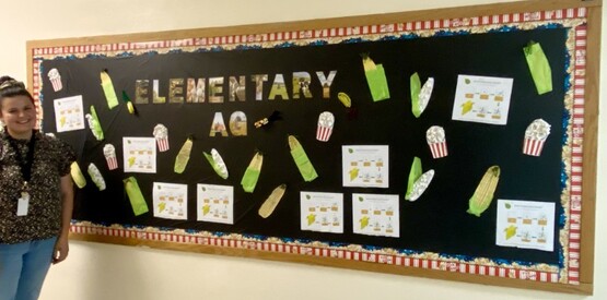 AITC lifecycle of corn bulletin board