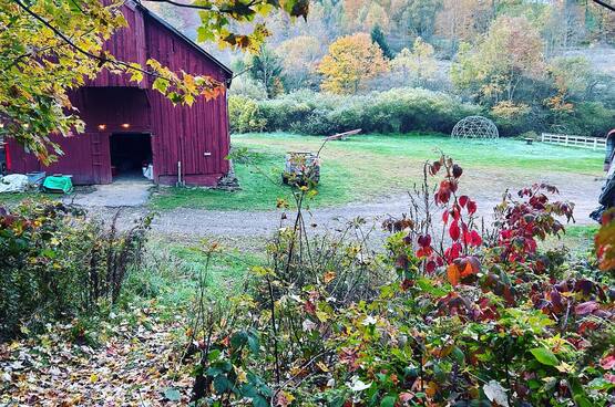 Stony Creek Farmstead