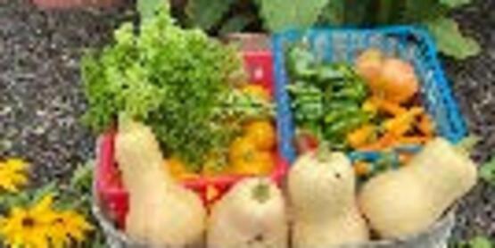 master gardener training