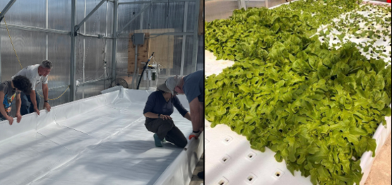 CCE greenhouse