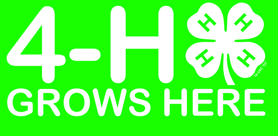 4-H Grows here