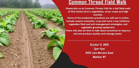 Please join us at Common Thread CSA for a fall field walk of this family farm's vegetables, cover crops and high tunnels.
Some of the production practices we will see in action include season extension, crop and cover crop rotations, vegetable field and soil management strategies, and vegetable growing equipment.
There will also be time to talk about practices to improve soil and produce quality and manage pests. 