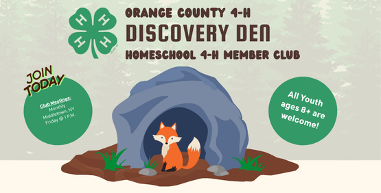 discovery den banner