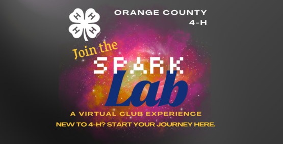 Spark lab