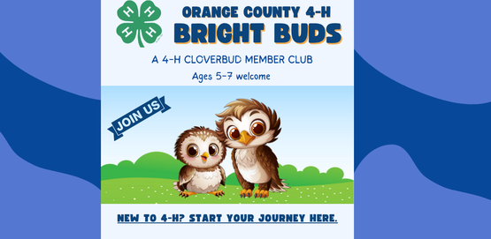 bright buds banner