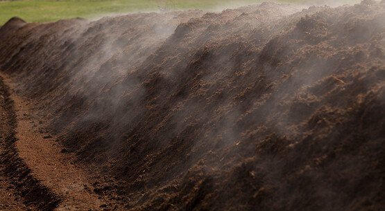 Composting of discarded food scraps at the Cornell Composting Facility.