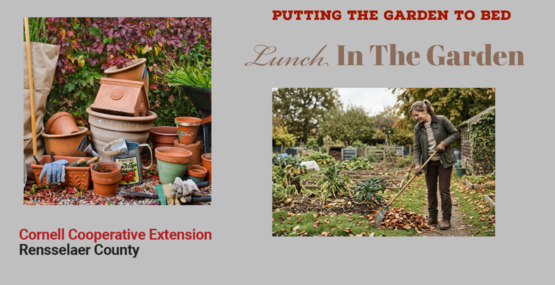 LITG Putting The Garden To Bed