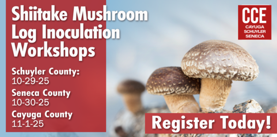 Shiitake Mushroom 2025