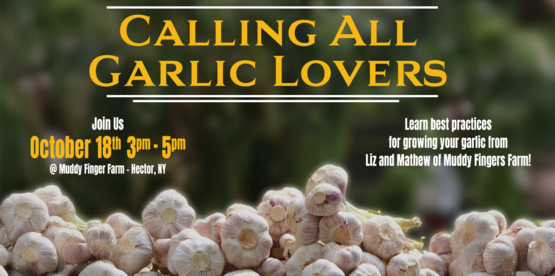 Garlic Lovers Workshop