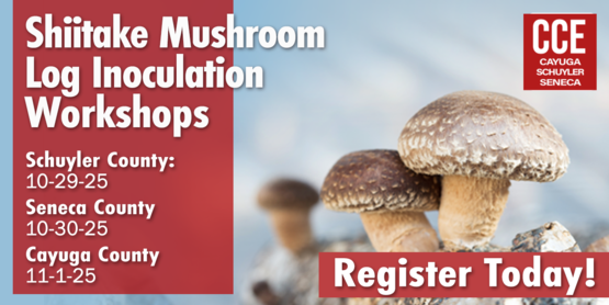 Shiitake Mushroom 2025