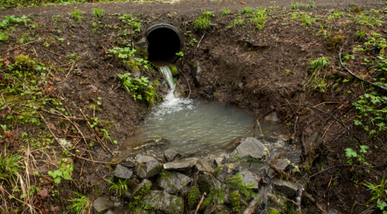 culvert
