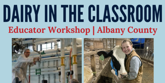 dairy in the classroom
