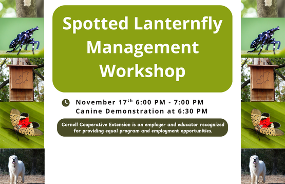 Spotted Lanternfly Workshop Image