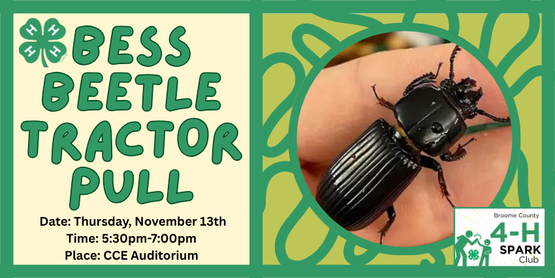  Bess Beetle Tractor Pull
 Who’s the strongest insect of them all? In this interactive, science-meets-fun class, kids will meet the incredible Bess Beetle—a real-life insect with super strength! After learning cool facts about this wood-dwelling decomposing beetle, 4-H’ers will gently harness their beetle and see just how much weight it can pull in a friendly "tractor pull" competition.