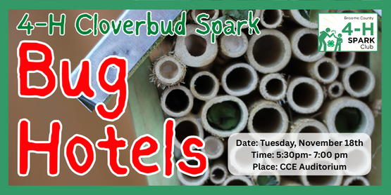 In this nature-inspired class, our youngest 4-H’ers will learn about the important insects in our environment—like ladybugs, bees, and beetles— and create cozy little "bug hotels" to give them a safe place to stay. Using natural materials like sticks, leaves, pinecones, and recycled containers, kids will design and build their very own bug shelters to take home.



Who: Broome County 4-H members, ages 5-7.

Although this program is designed with our youngest members in mind, kids of any age are welcome to attend.  However, if the program fills up, we will give priority to the Cloverbuds. 

When: Tuesday, November 18, 2025

Time: 5:30pm- 7:00pm

Where: CCE Auditorium