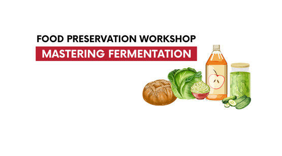 Fermentation 2025