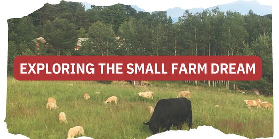 Small Farm Dream