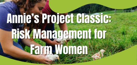 Annie's Project Risk Management 
