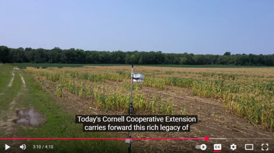 What is Cornell Cooperative Extension (CCE) 