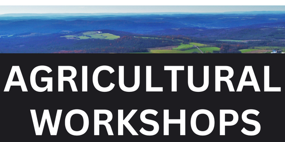 AFT Workshops