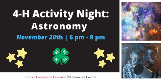Activity Night