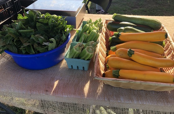 vegetables sac farmers market