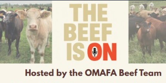OMFA Web Series 