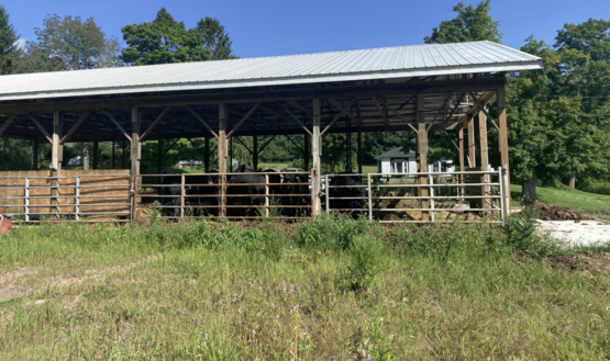 D & D farms new barn 