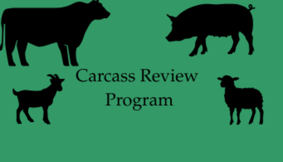 carcass review
