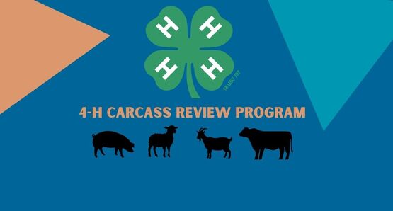 Carcass Program