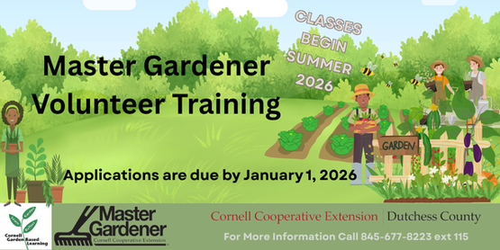 MGV Training