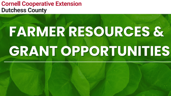 Farmer Resources and Grant Opportunities