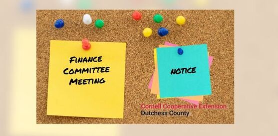 Finance Committee Meeting 11/17/2025