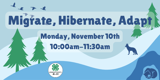 Migrate, Hibernate, Adapt