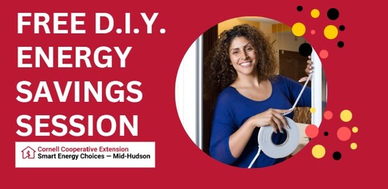 FREE DIY Energy Saving Session Header