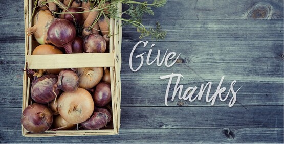 Thanksgiving Graphic 