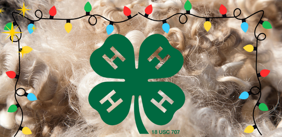 Learn about wool and fiber crafts!