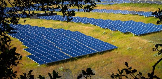 solar farm; rows of solar panels on a hill side