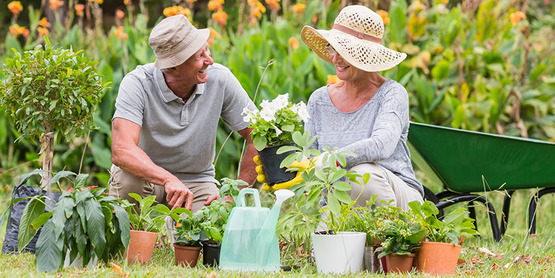 Senior couple gardening together, 