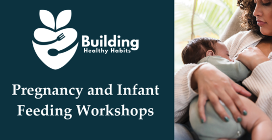 P&I Feeding workshops