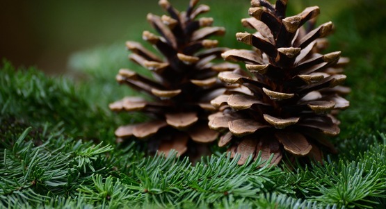 wreath making supplies