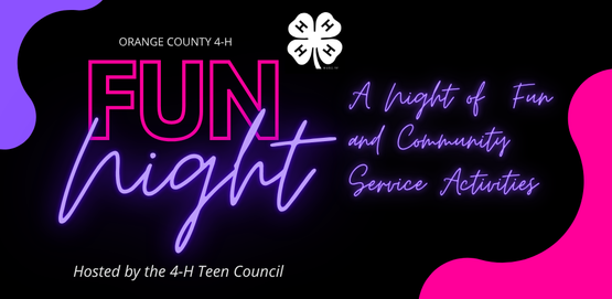 fun night 