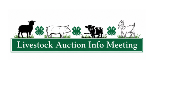 auction