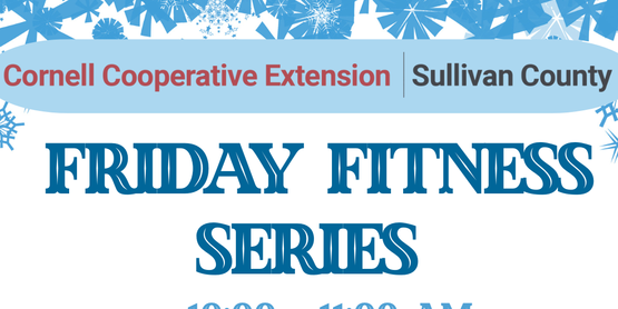 Friday Fitness Series 2025-2026 Flyer