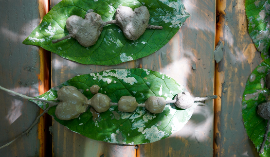Molded clay shapes drying on wide leaves.