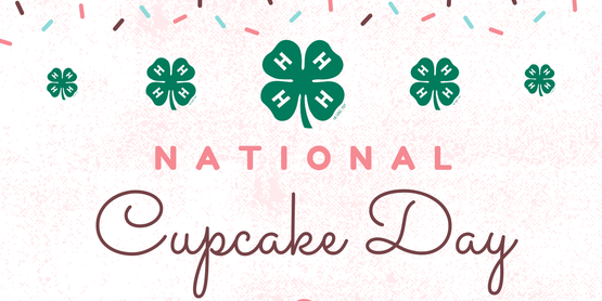 National Cupcake Day Flyer