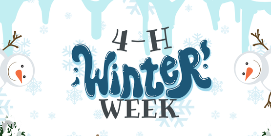 winter week