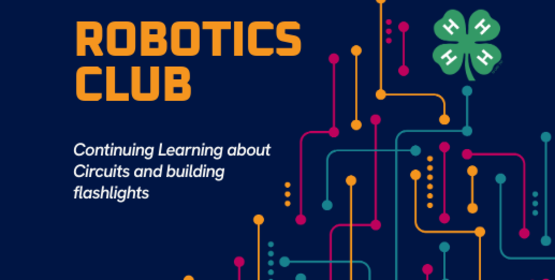 robotics nov